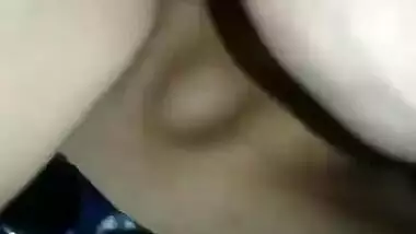 Javeria elahi