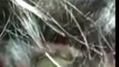 College girl sucking cock Tamil blowjob sex